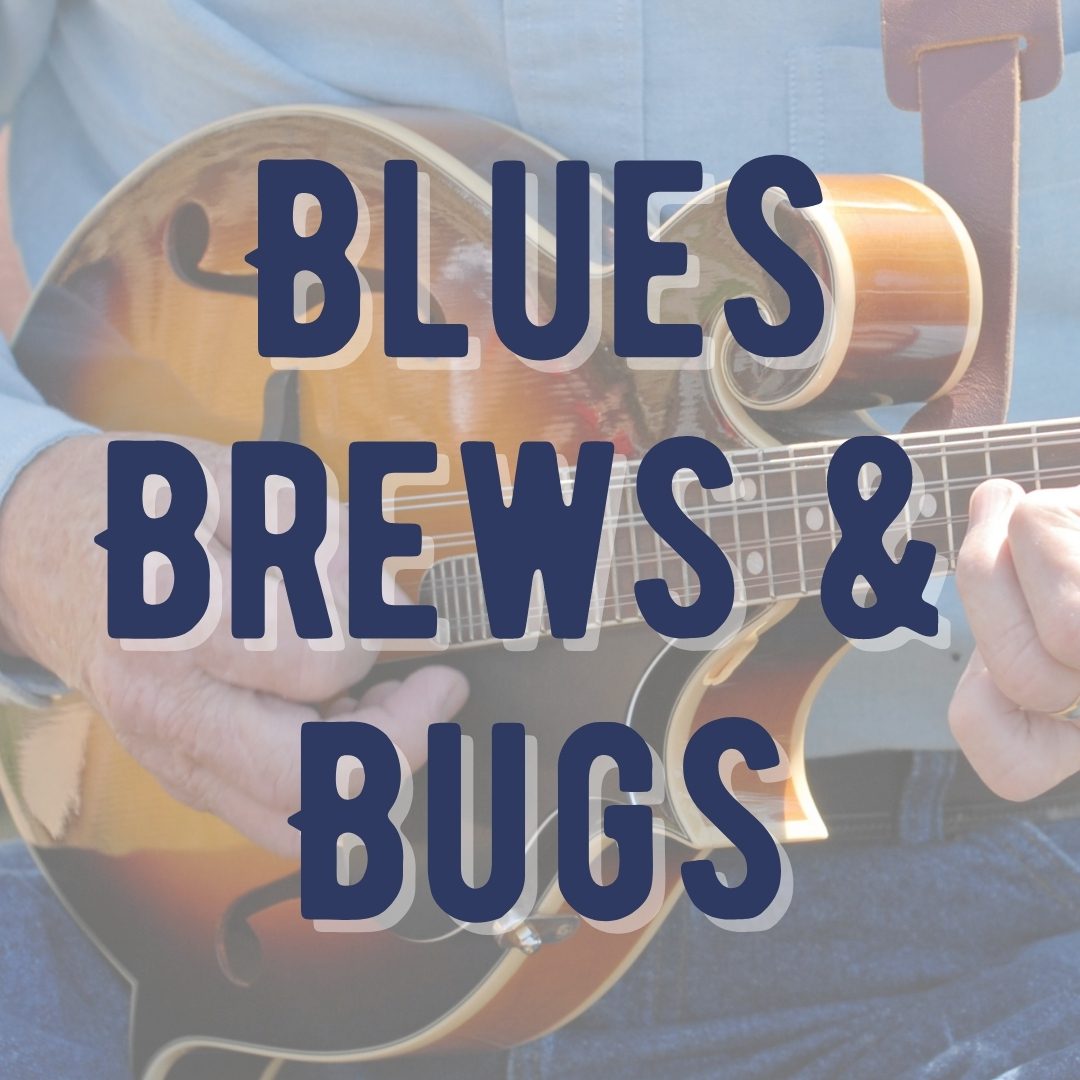 Blues, Brews, and Bugs in Bandera