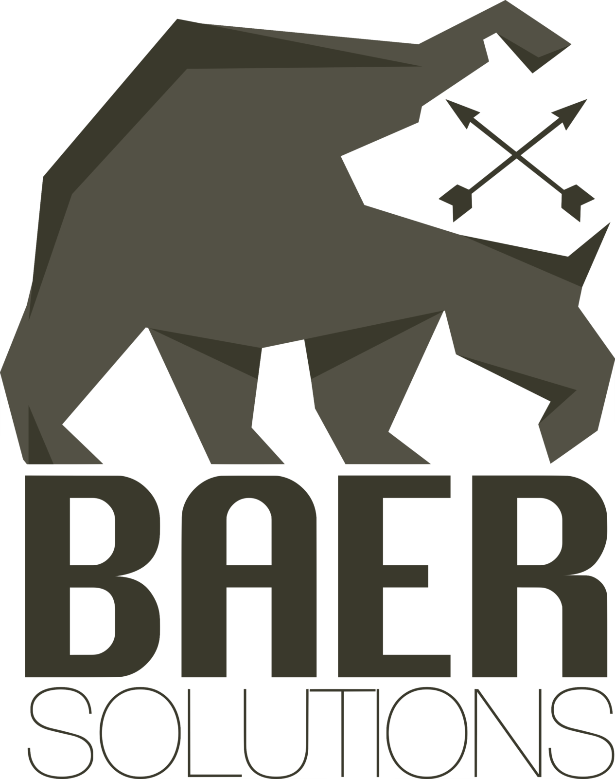 Baer Solutions