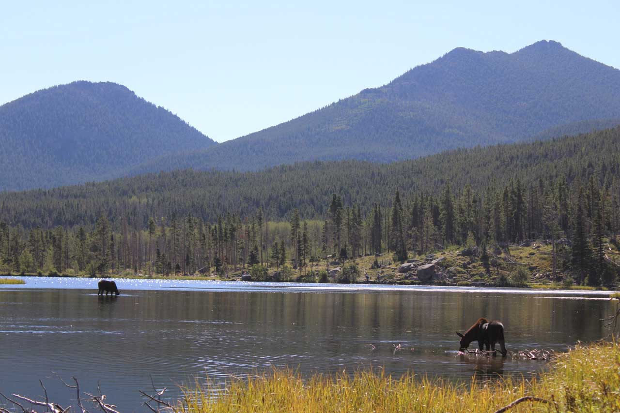 Rocky Mountain expedition